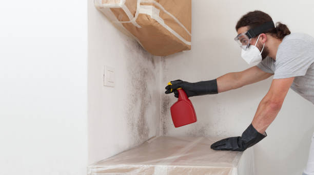 Professional Crawl Space Mold Remediation technician working in Lyons, OR